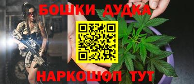 прущий лед Будённовск
