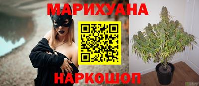 прущий лед Будённовск