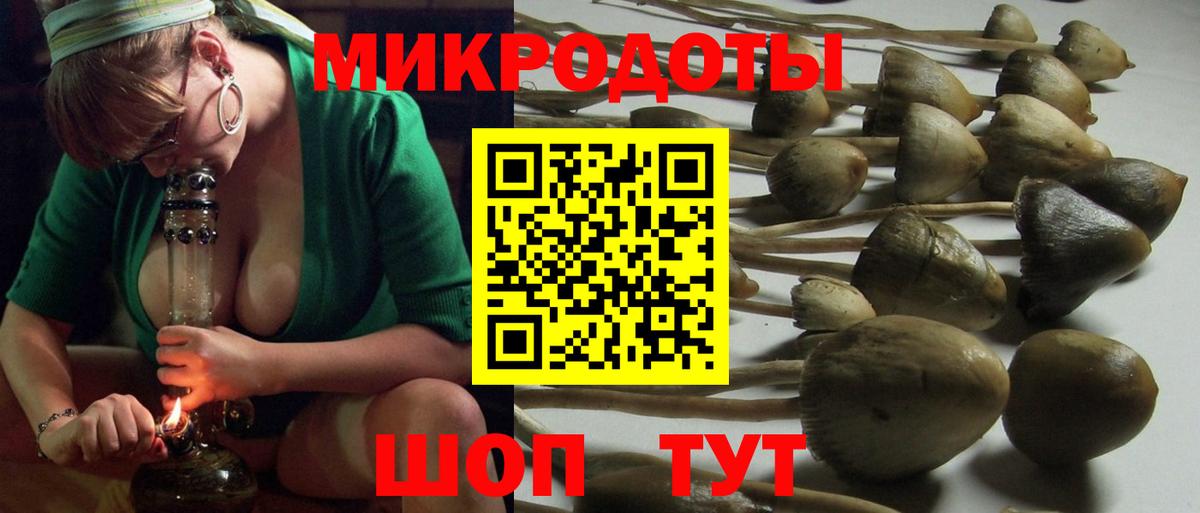Североуральск  купить закладку  Вход с VPN  Галлюциногенные грибы Psilocybe  Псилоцибиновые грибы GOLDEN TEACHER 